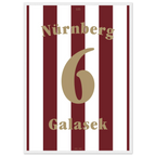 Tomáš Galásek - 125 Jahre FCN