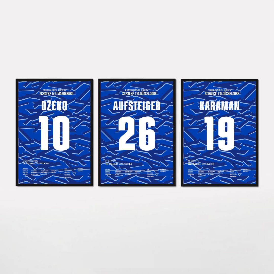Schalke Aufstieg 2025/26 Bundle