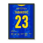 Tabaković Ausgleichstreffer vs Italien lässt das Bilino Polje beben Fußball Poster mit Rahmen