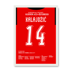 Ibišević Shoots Bosnia to First-Ever World Cup Appearance
